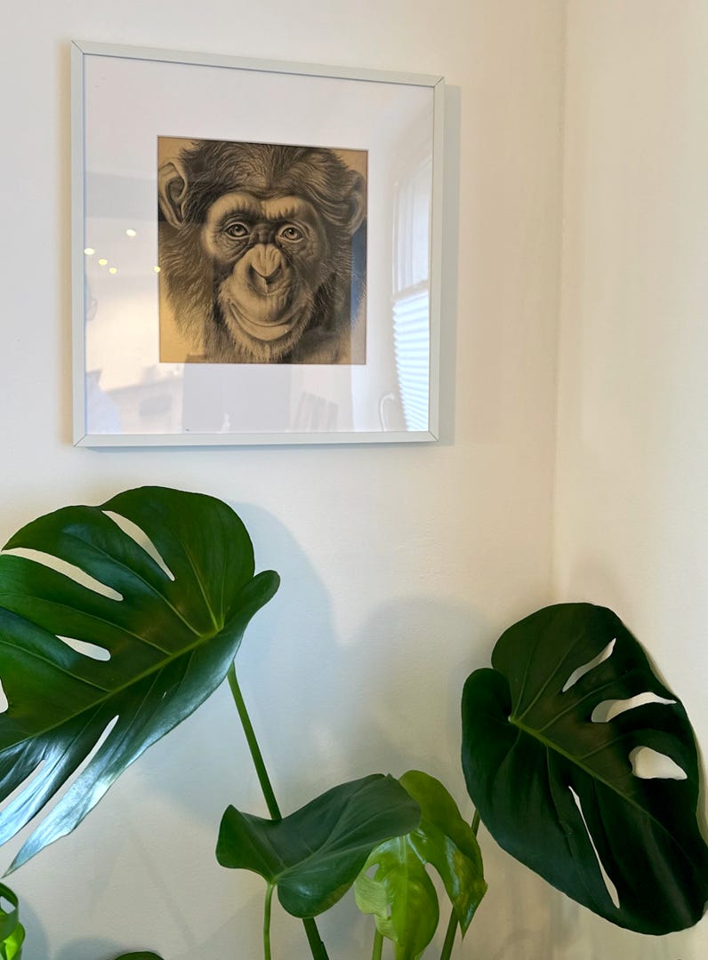 Ferienwohnung | Mainz Bretzenheim | Apartment